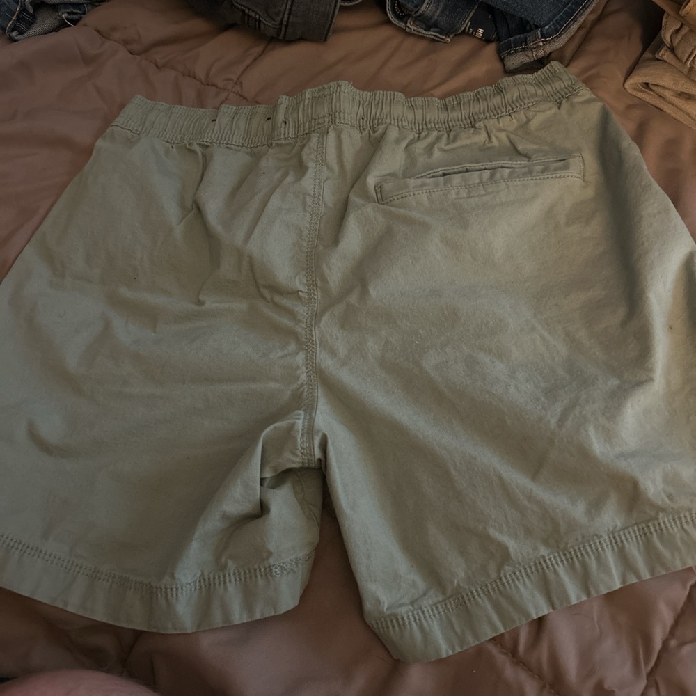 Hollister Green Flat Front Shorts